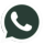 Send a WhatsApp